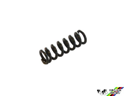 Campagnolo #120 Long Limit Screw Spring