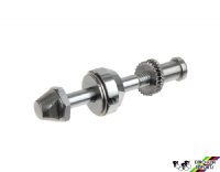 Campagnolo #2012/AC Pivot Bolt Complete