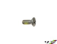 Campagnolo 7350148 Cage Plate Screw