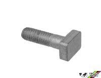 Campagnolo 7350169 Delta Rear Center Bolt