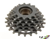 Regina BX 6 spd Freewheel 