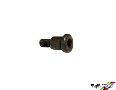 Campagnolo EC-RE007 Bolt