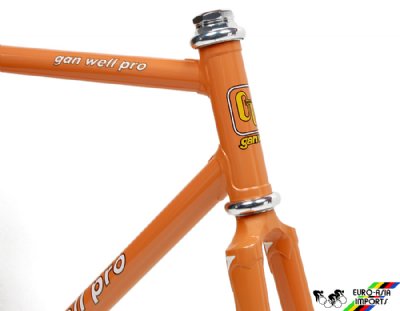 Gan Well Pro NJS Frameset