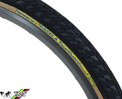 Panaracer Pasela TG 26-inch Clincher Tire