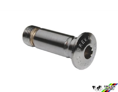 Campagnolo RD-RE019  Pivot Bolt