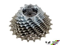 Campagnolo