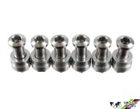 TA Pro 5 Vis Triple Chainring Bolts